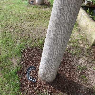 Mise en lumière arbre avec projecteur BENEITO Signal