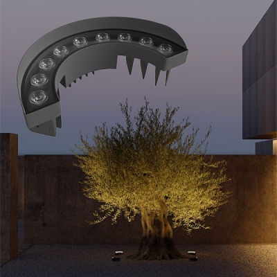 Projecteur semi circulaire pour éclairage arbre olivier