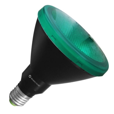 Ampoule verte PAR38 15W E27 230V - BENEITO 3579