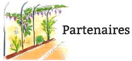 Les partenaires de Eclairage Jardin
